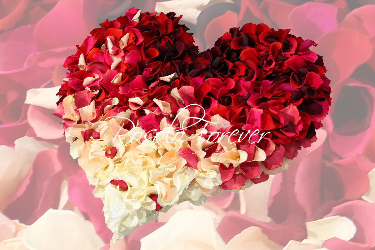 Beau cœur composé de centaines de pétales de roses