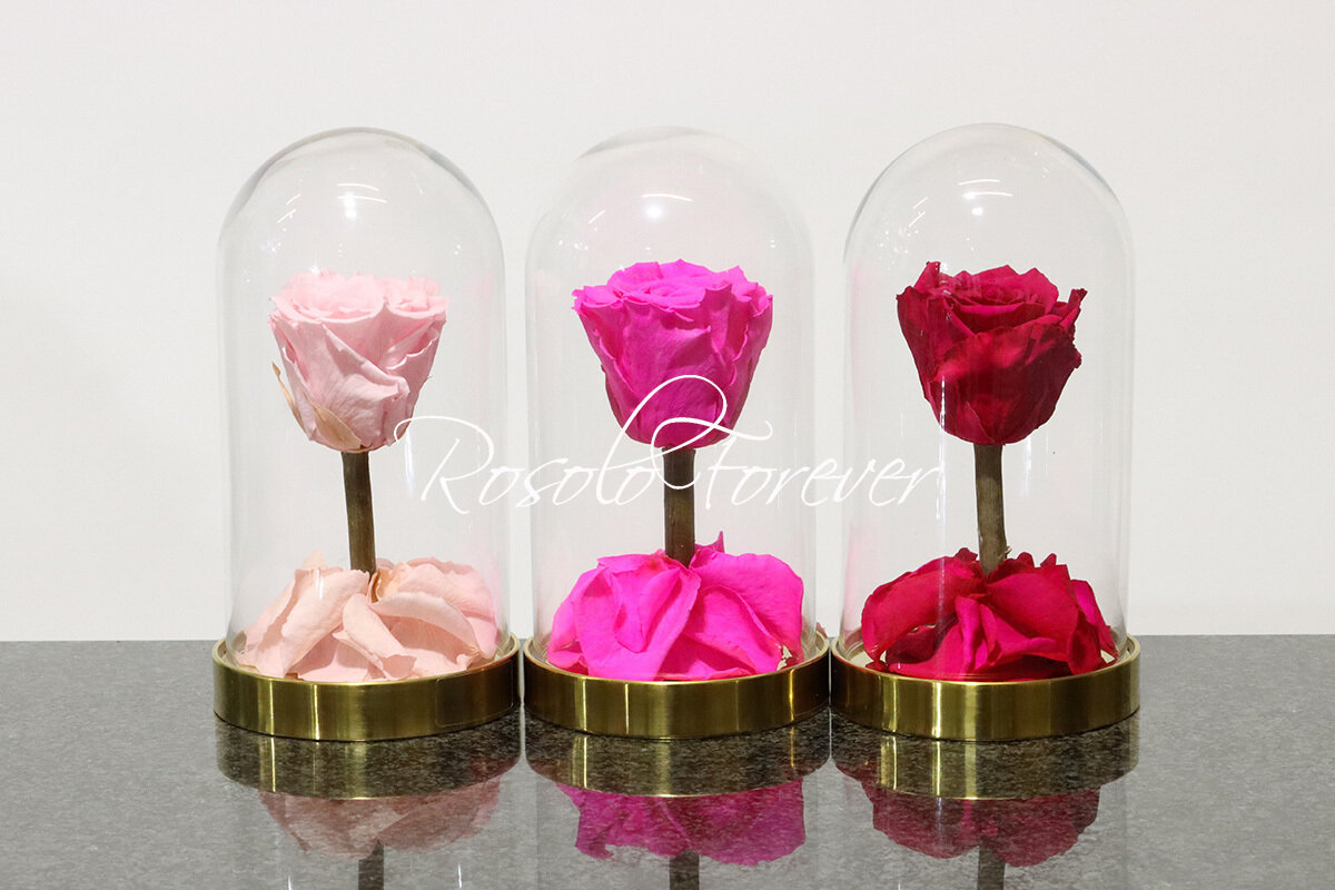 Belle rose éternelle sous cloche (fuchsia-rose-pink)