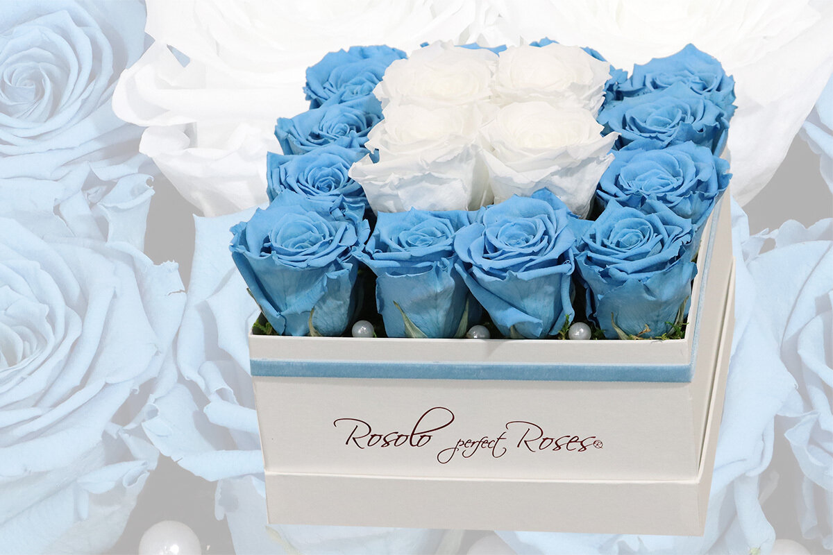 Boîte carrée, 16 roses éternelles en bleu et blanc
