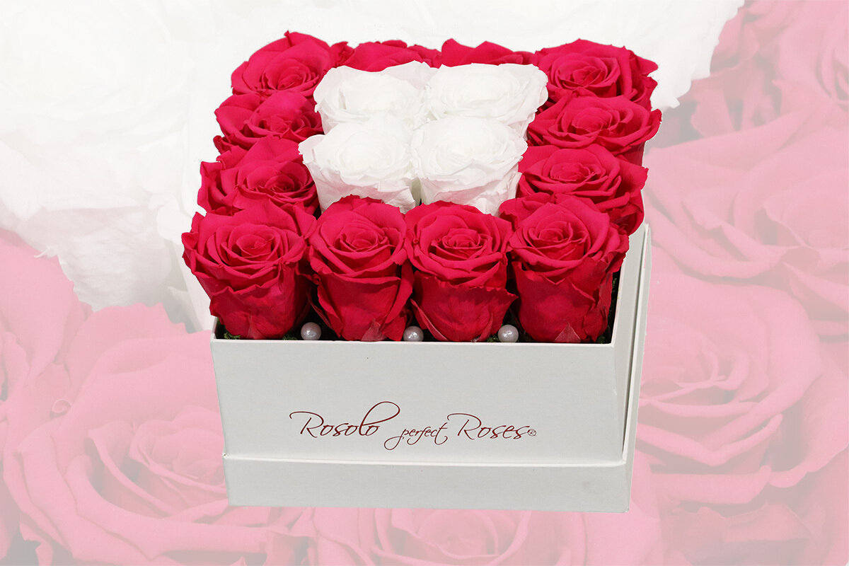 Boîte carrée, 16 roses éternelles en rose fuchsia et blanc