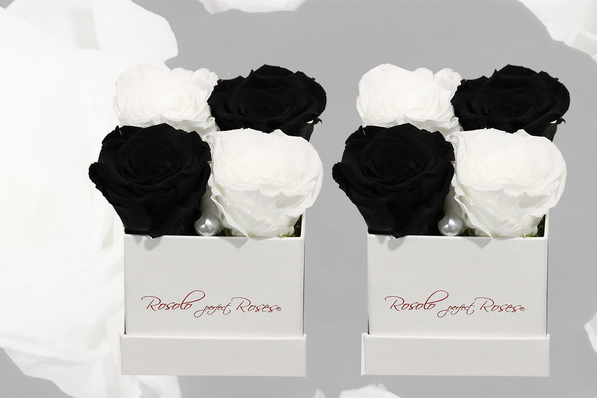 Boîte carrée, 4 roses éternelles en noir et blanc