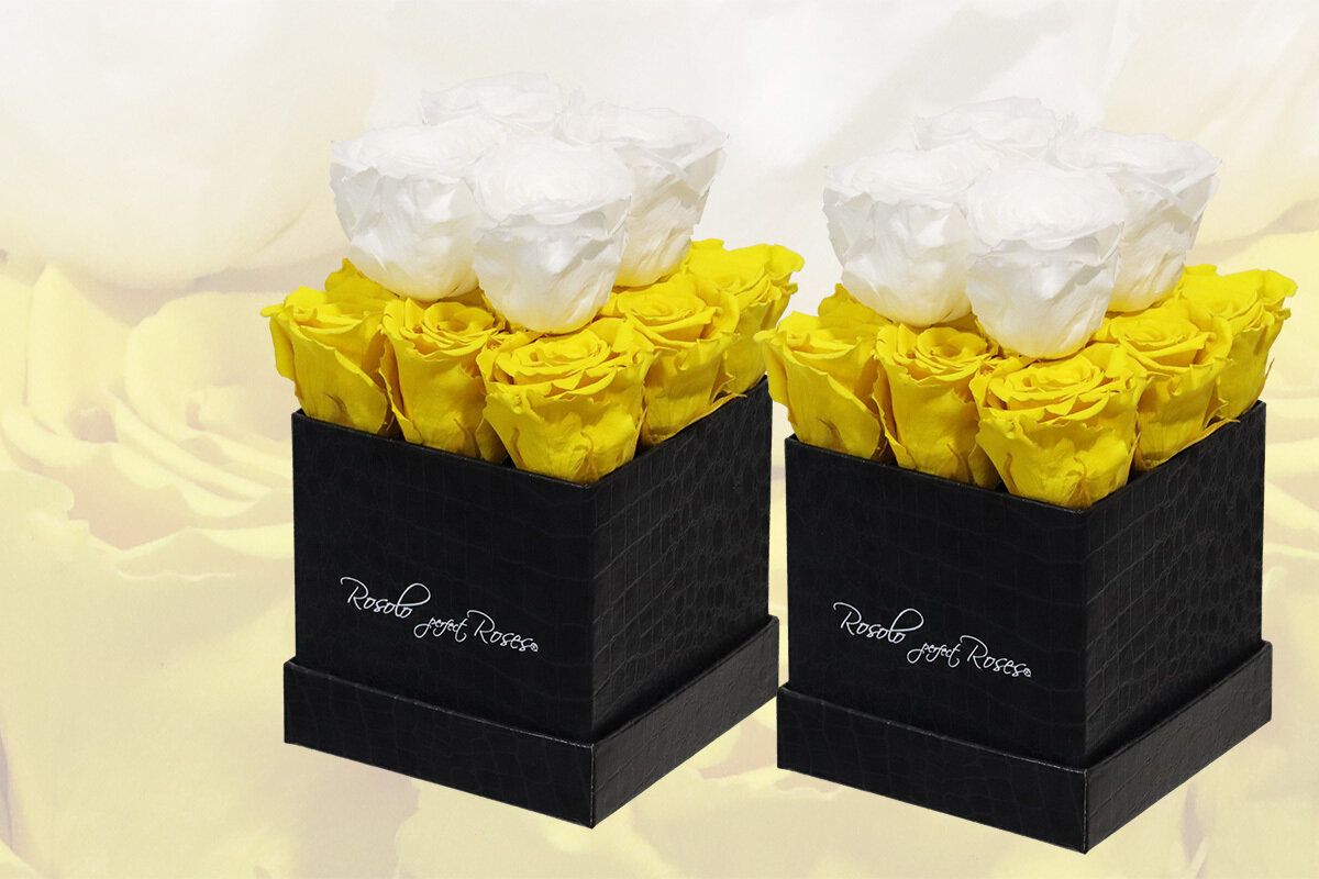 Boîte cubique, 13 roses éternelles en jaune et blanc