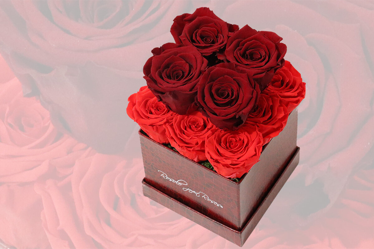 Boîte cubique, 13 roses éternelles en rouge et bordeaux