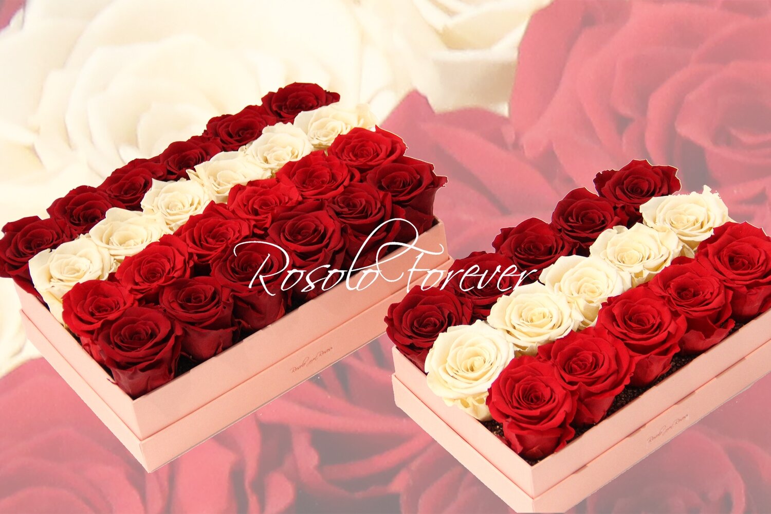 Boîte de roses éternelles pour amoureux