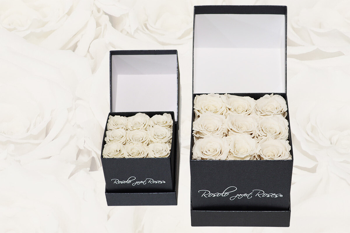 Boîte prestigieuse avec 9 roses éternelles, en blanc ou crème. 2 tailles: roses miniatures ou roses larges