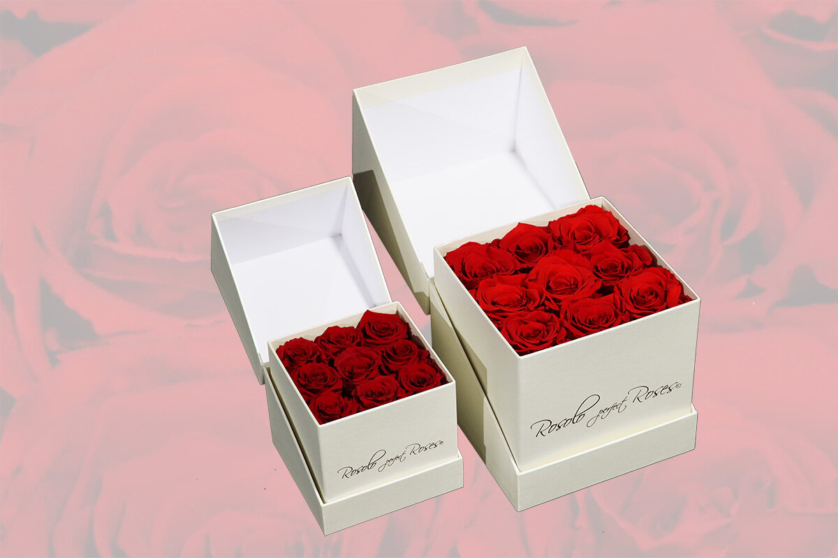 Boîte prestigieuse avec 9 roses éternelles, en rouge. 2 tailles: roses miniatures ou roses larges