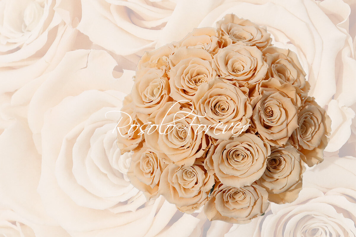 Bouquet de roses éternelles, champagne