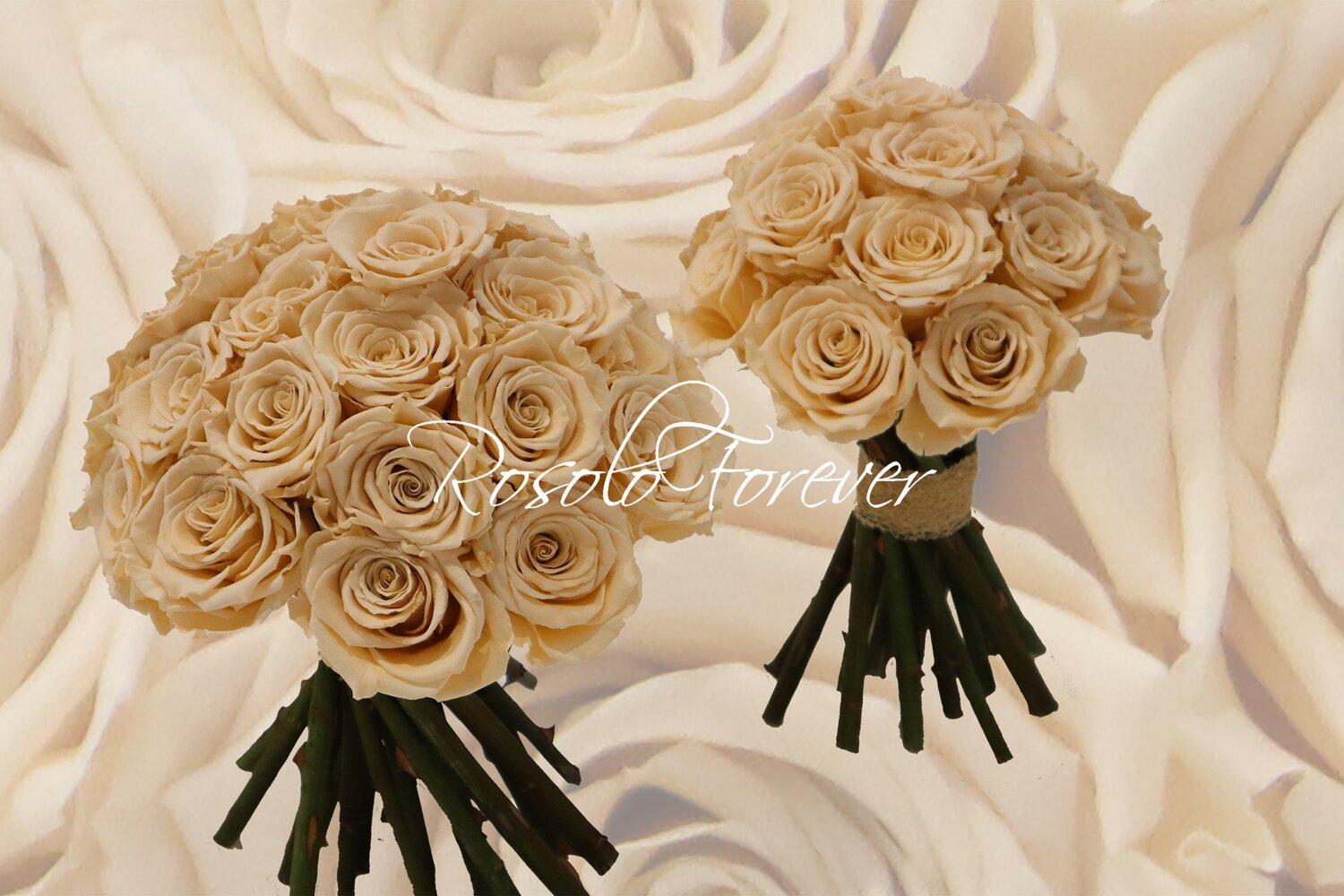 Bouquet de roses éternelles, crème