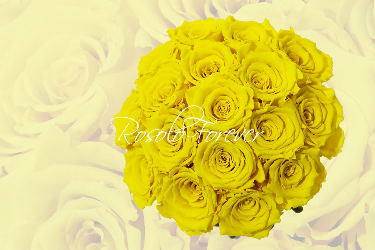 Bouquet de roses éternelles, jaune