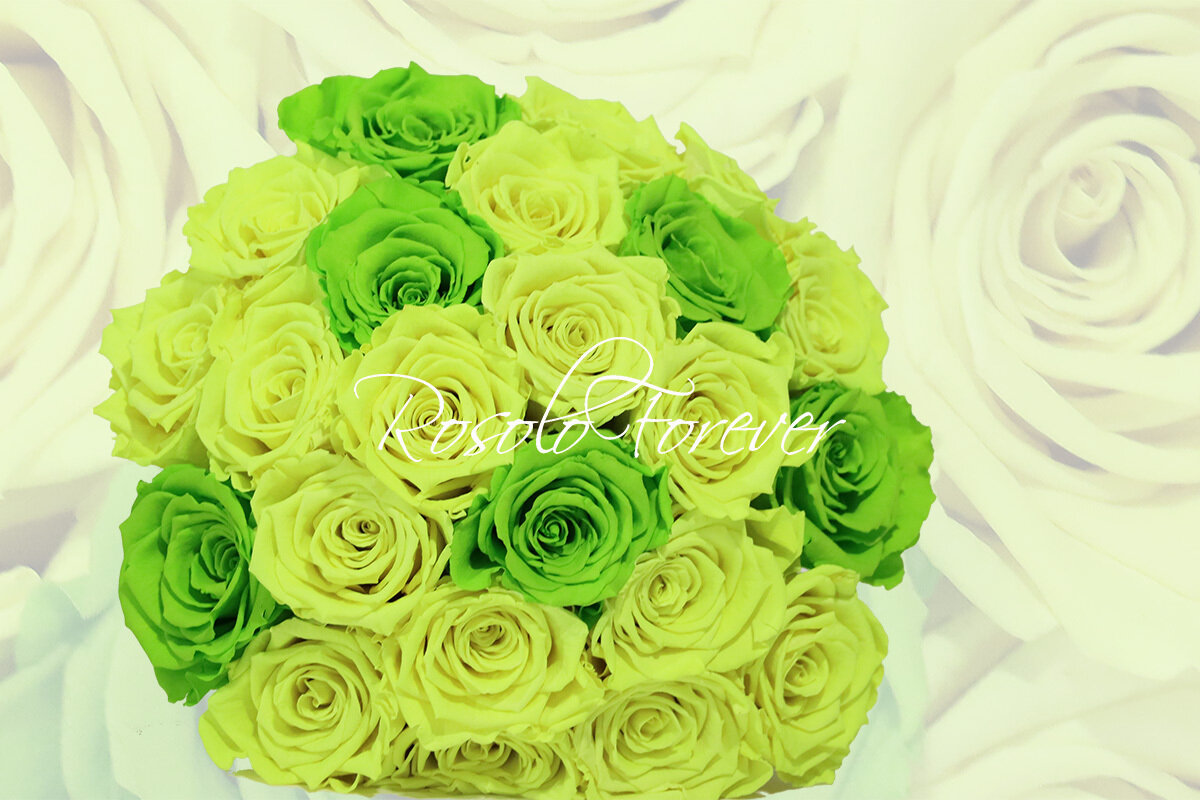 Bouquet de roses éternelles, jaune/vert