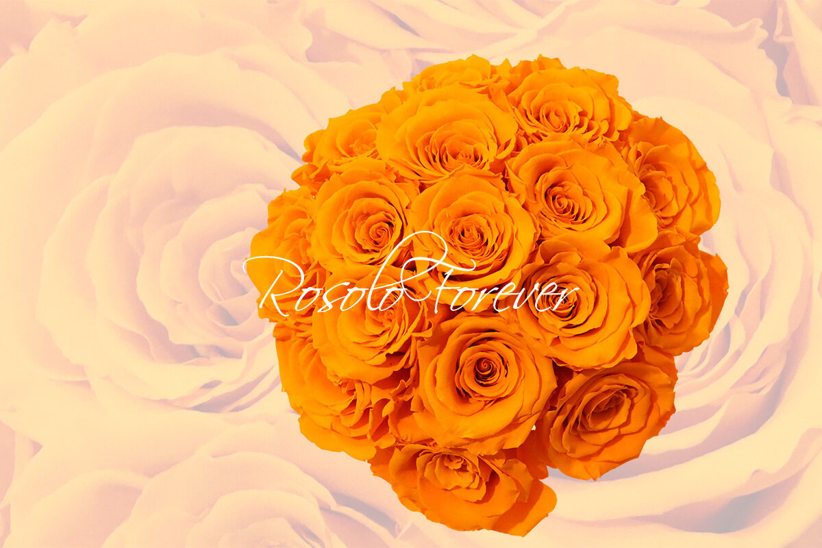 Bouquet de roses éternelles, orange