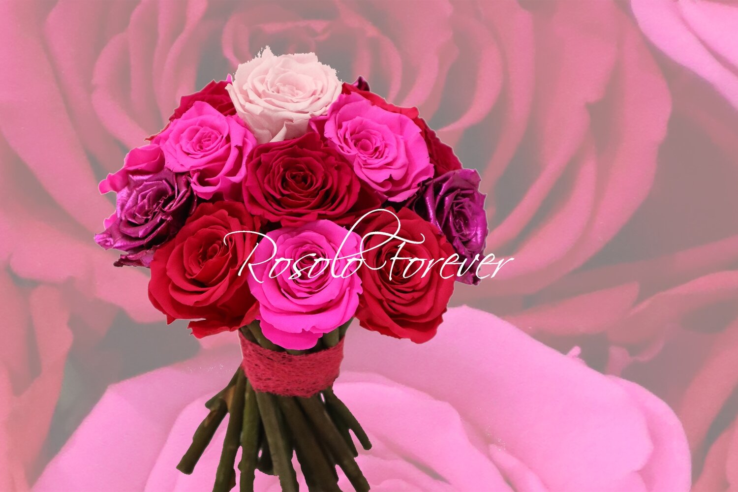 Bouquet de roses éternelles, rose/rouge