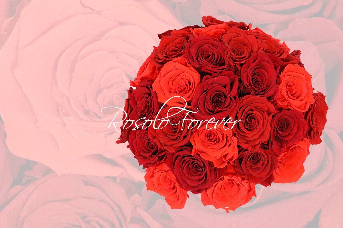 Bouquet de roses éternelles, rouge claire/ foncé