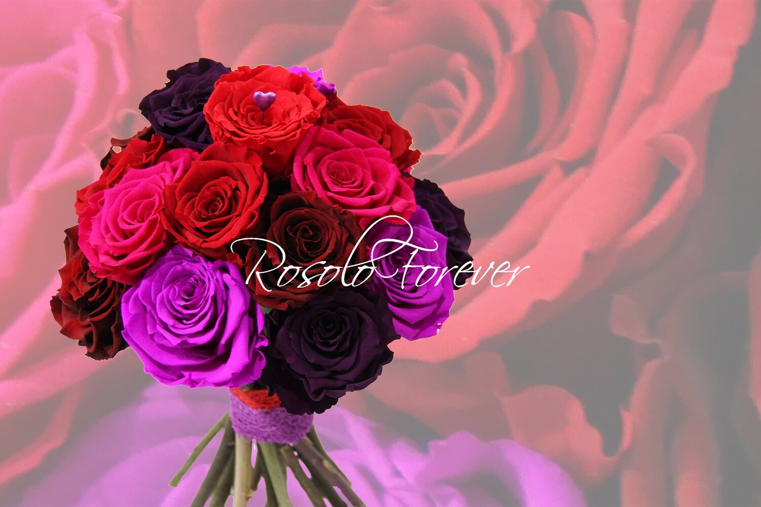 Bouquet de roses éternelles, rouge/fuchsia/mauve