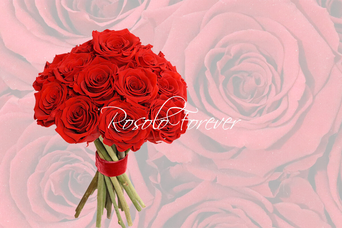 Bouquet de roses éternelles, rouge vif