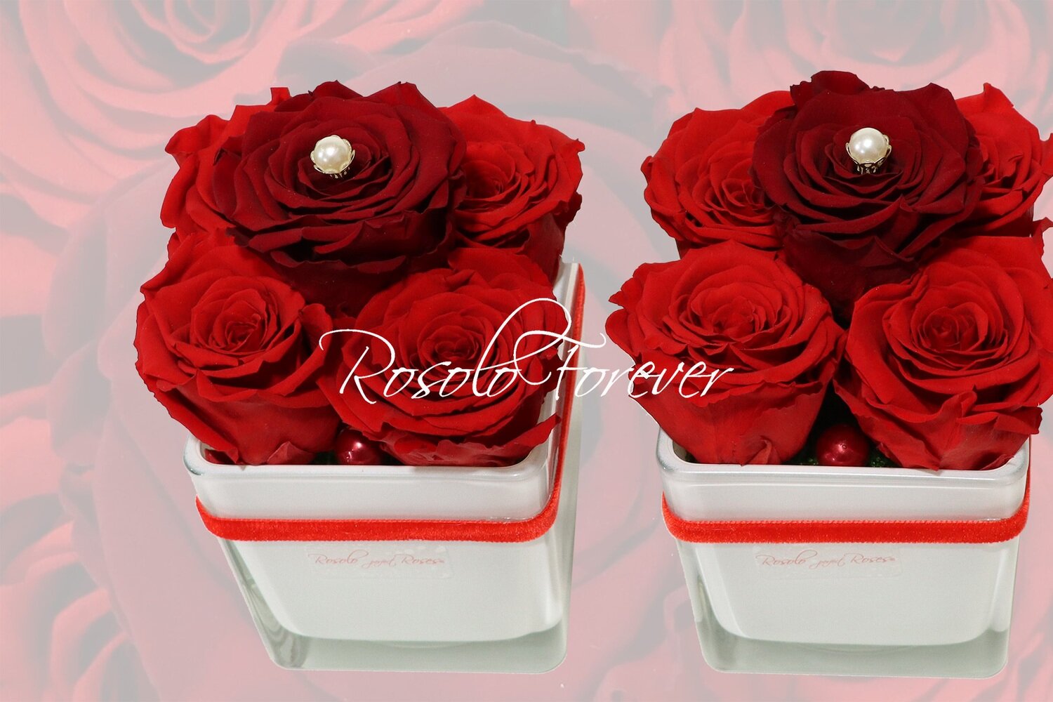 Carré de 5 roses éternelles, rouge et bordeaux