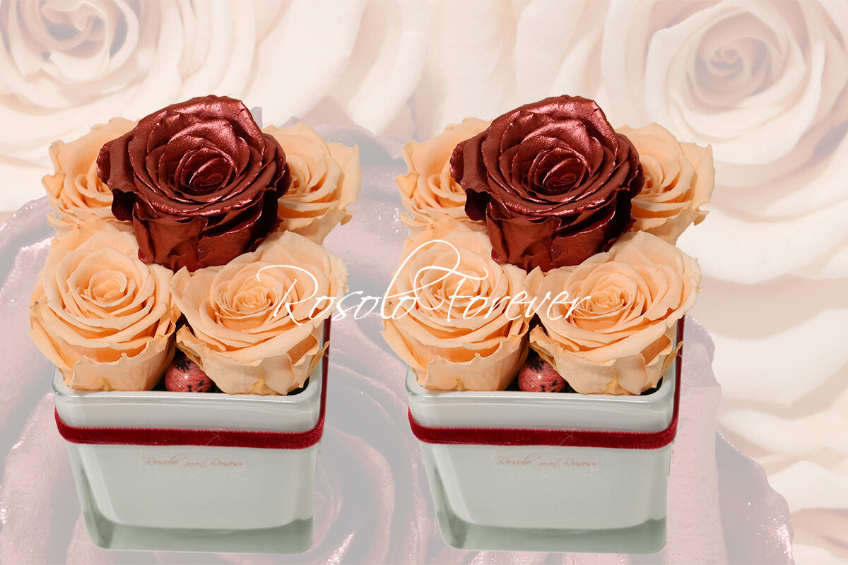 Carré de 5 roses éternelles, saumon et cuivre