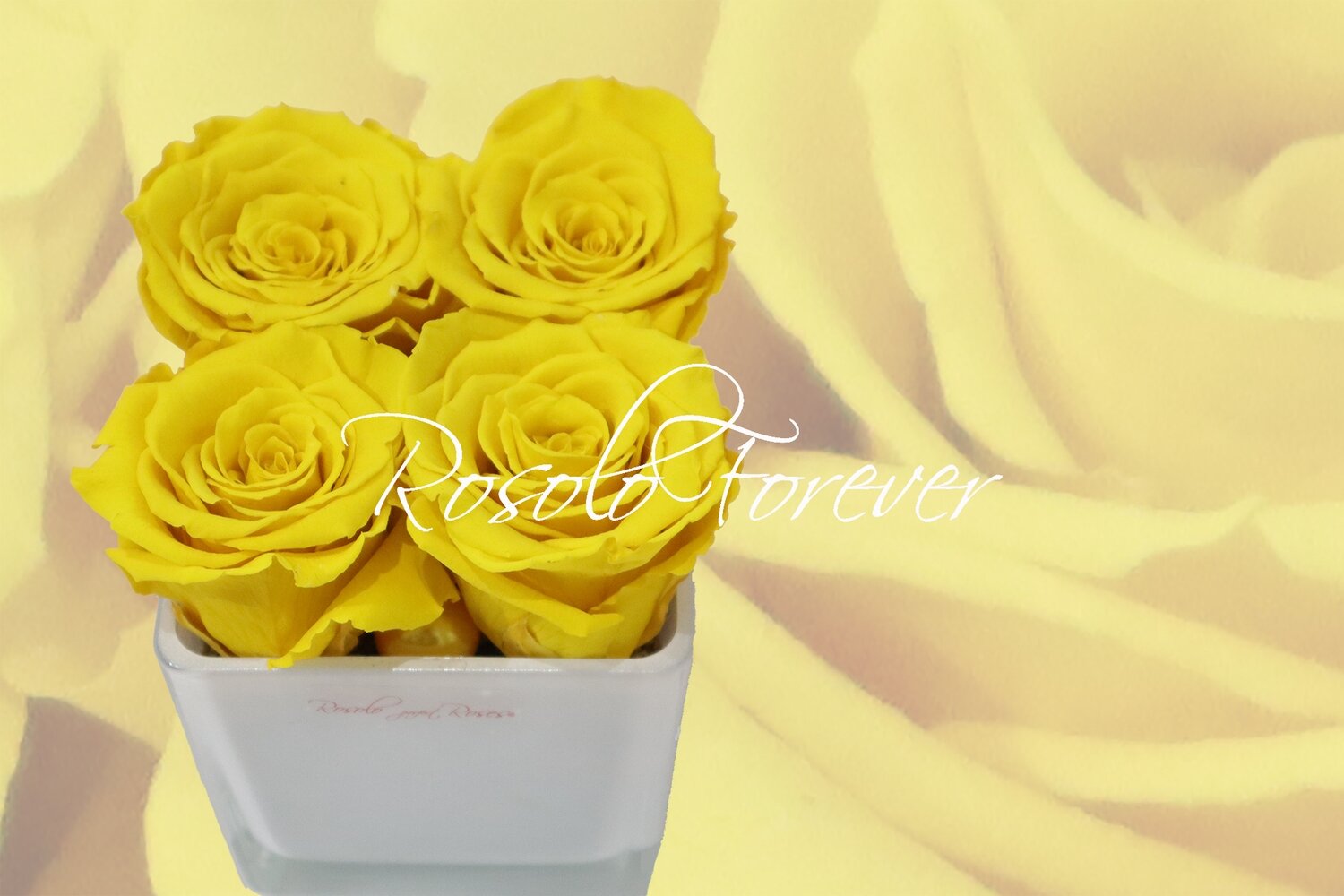 Carré de roses éternelles, jaune