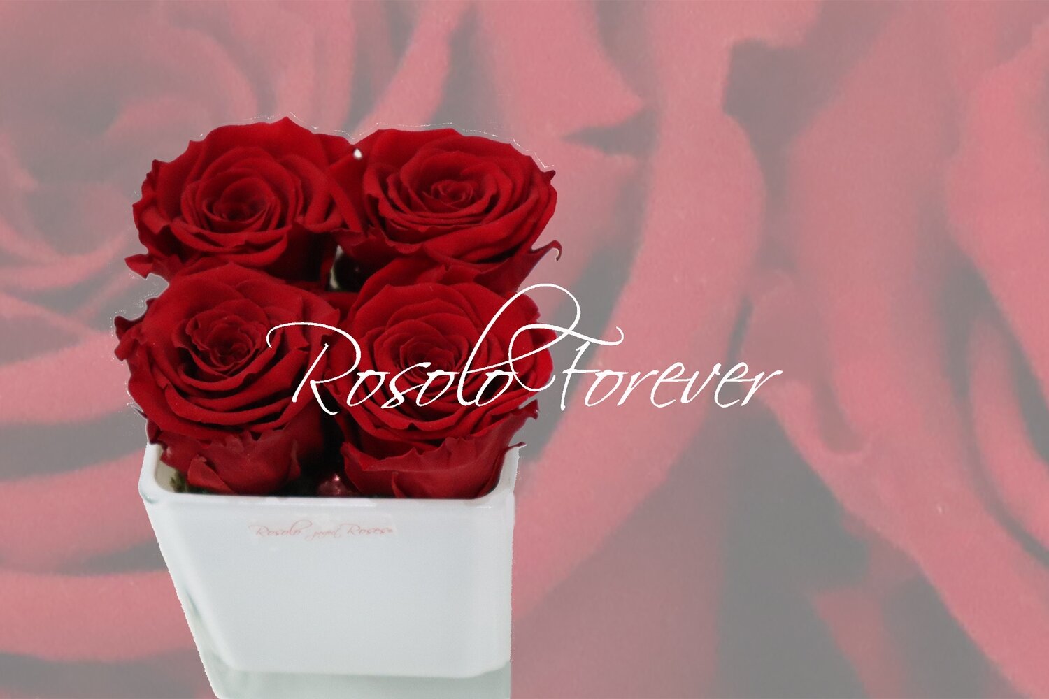 Carré de roses éternelles, rouge