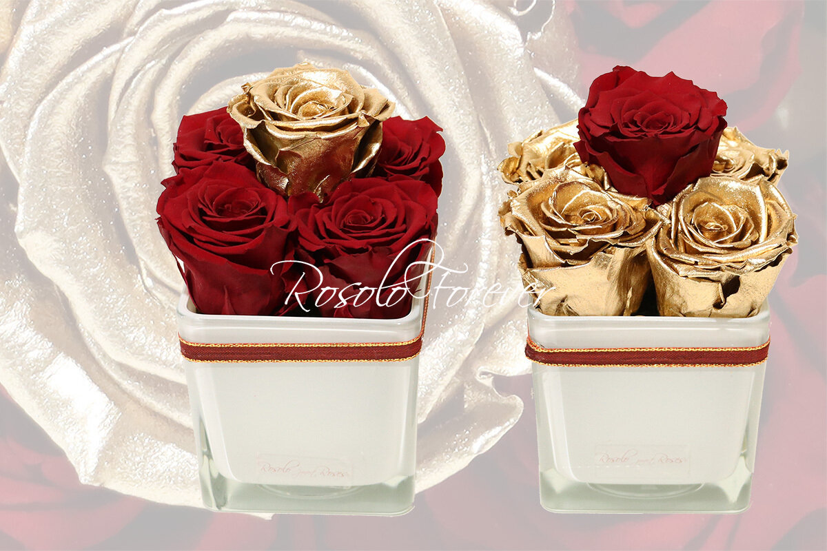 Carré de roses éternelles, rouge-or et or-rouge