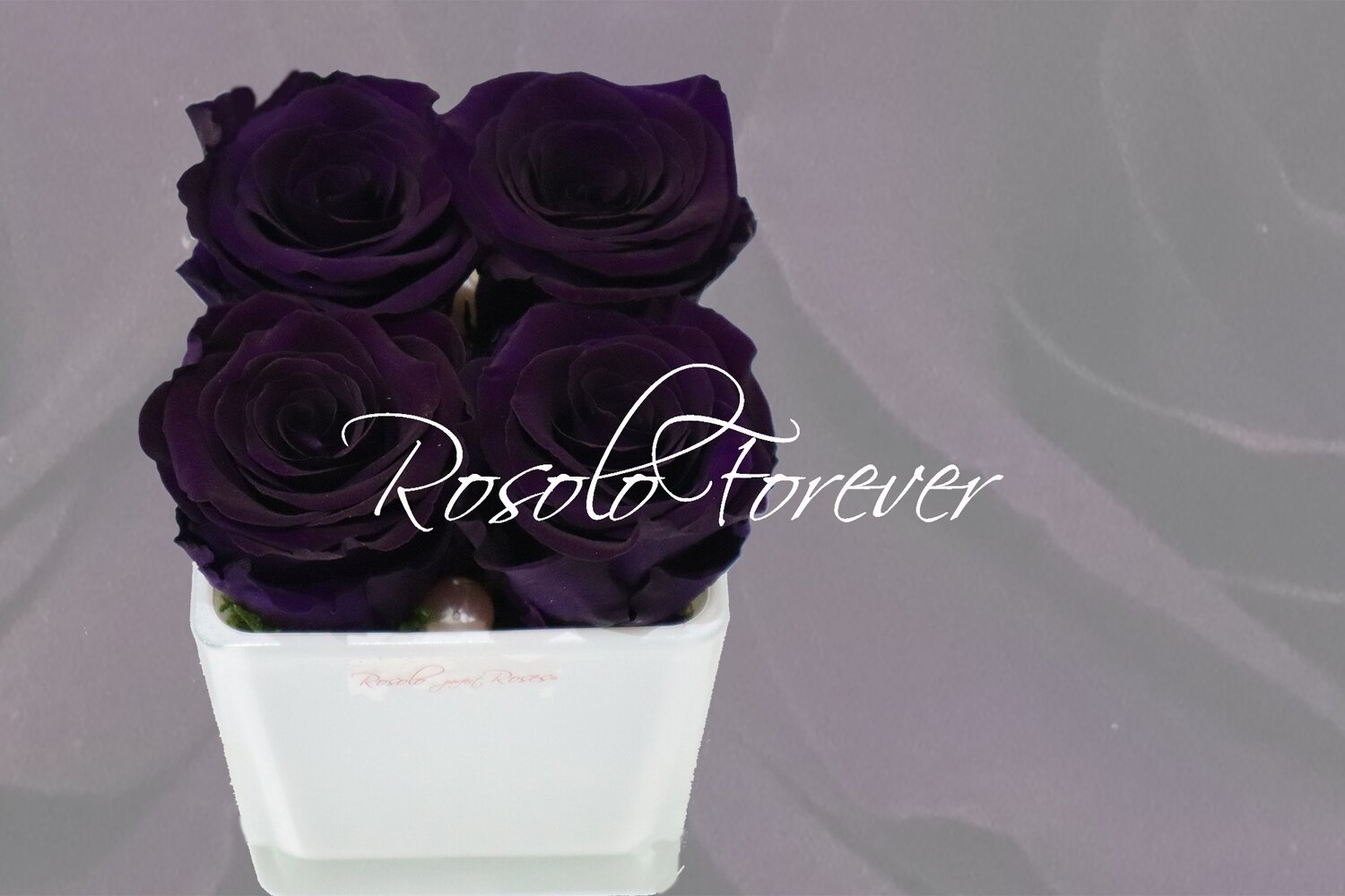 Carré de roses éternelles, violet