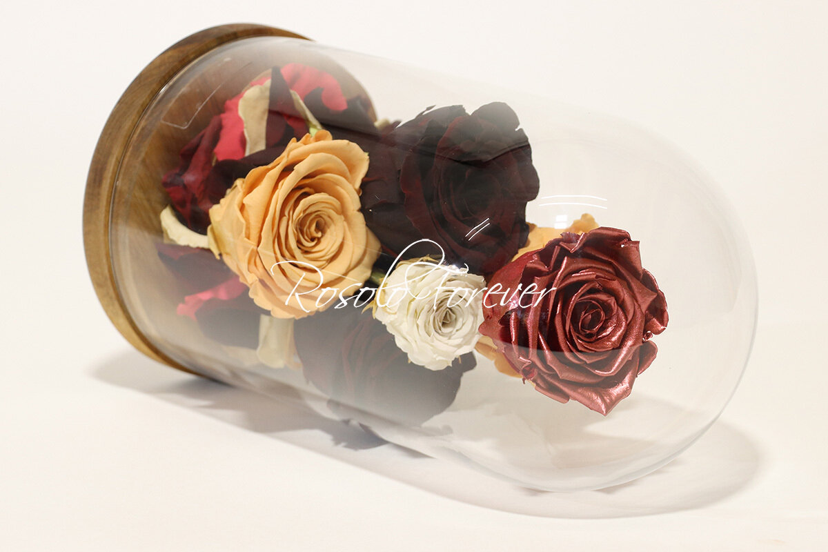 Cloche exclusive, 7 roses en brun, beige, crème