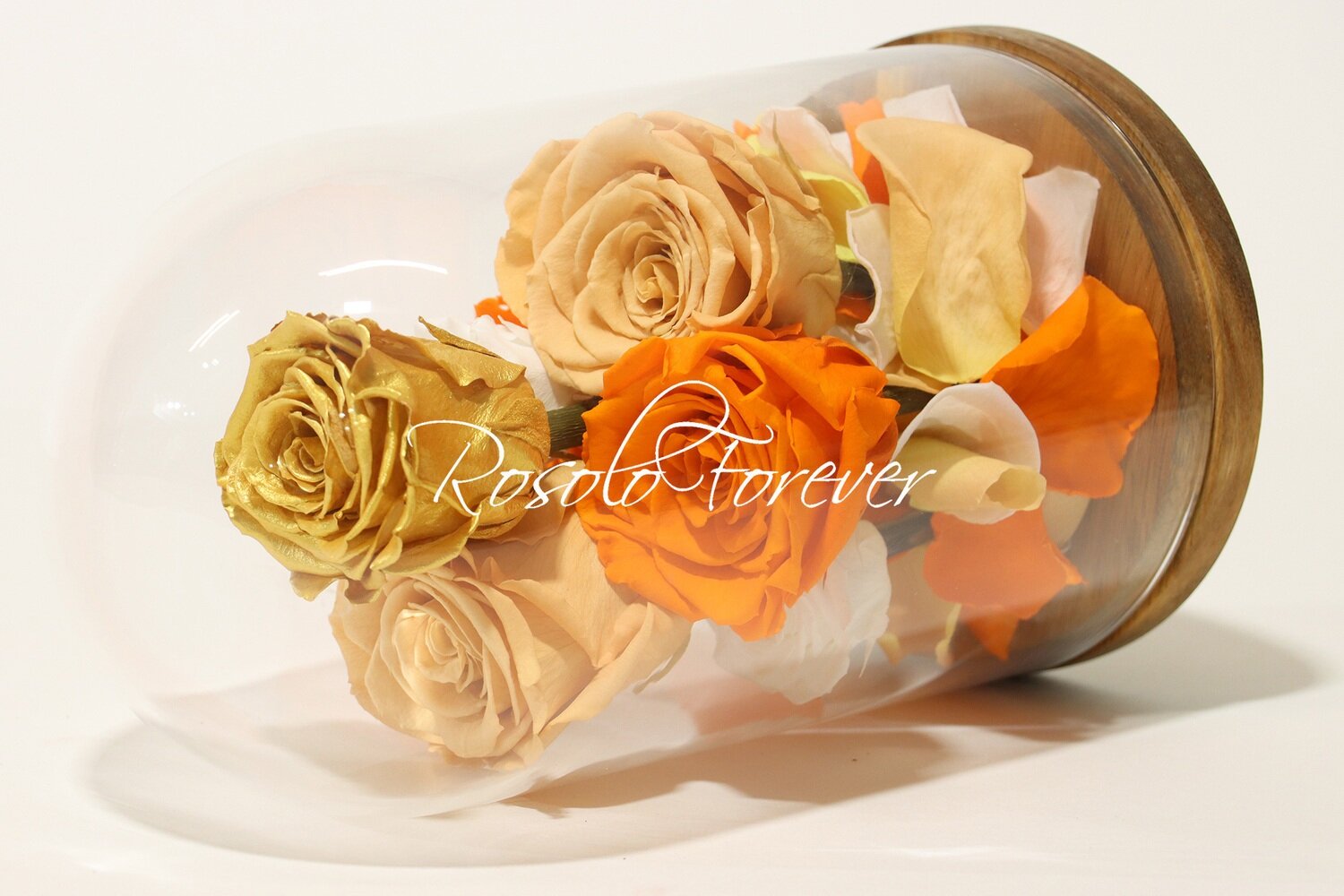 Cloche exclusive, 7 roses en or, beige, orange et blanc