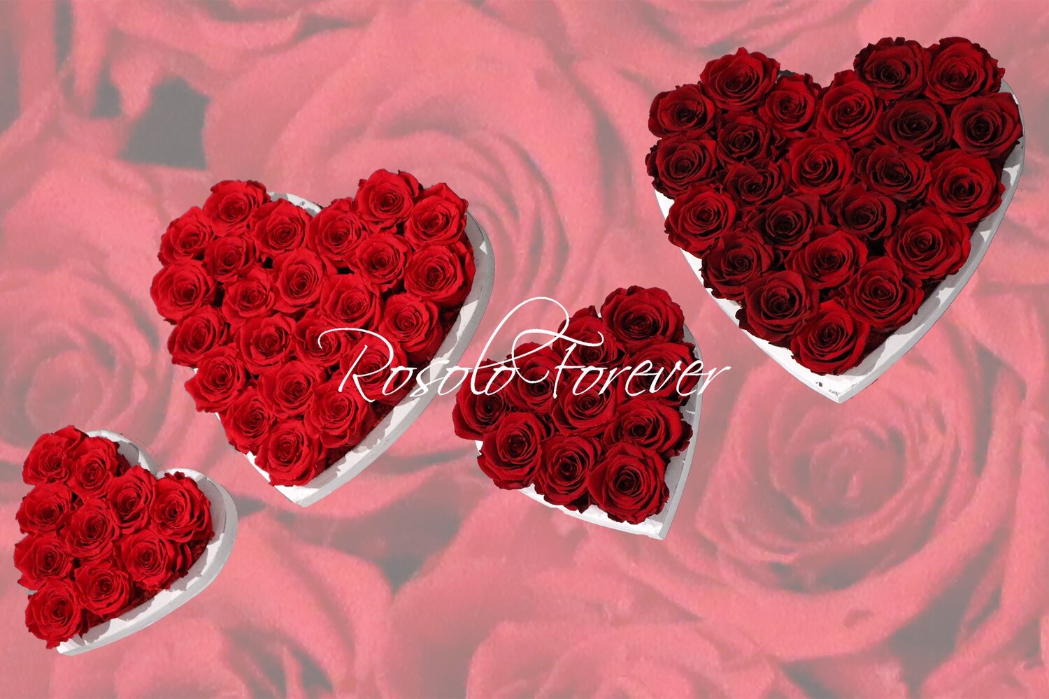 Cœur de roses stabilisées en rouge