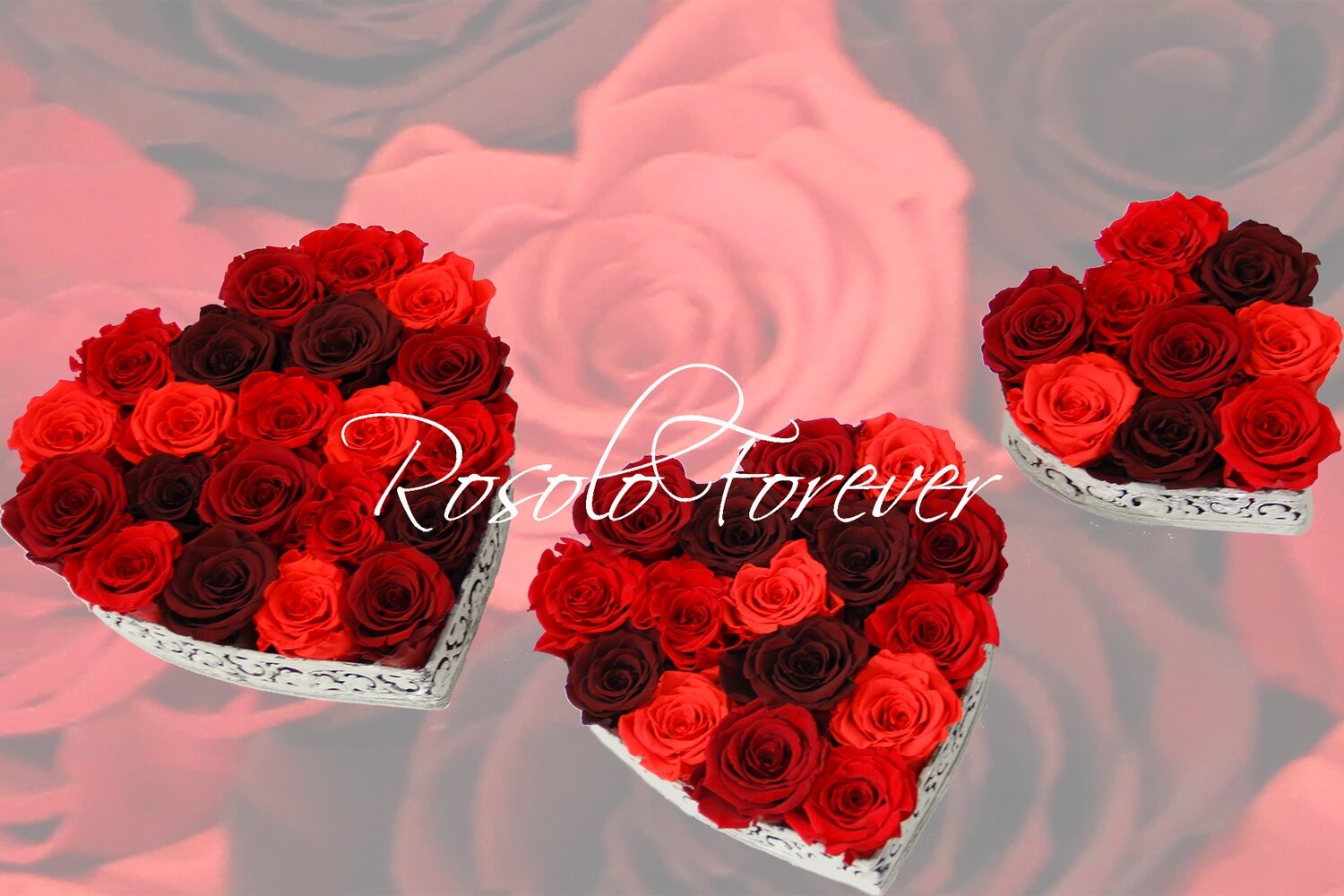 Cœur de roses stabilisées en rouge