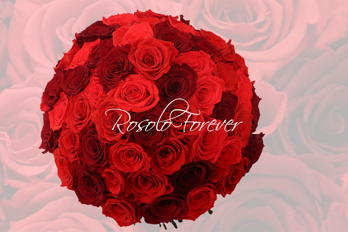 Grand bouquet de roses éternelles, dégradé en rouge