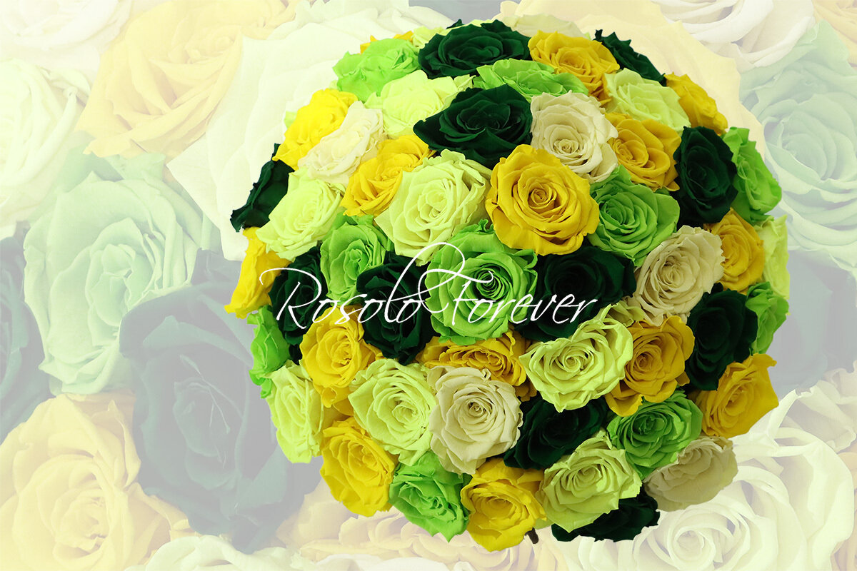 Grand bouquet de roses éternelles, vert/jaune/crème
