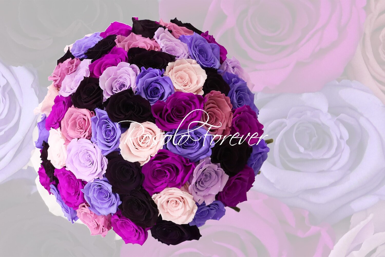Grand bouquet de roses éternelles, violet/mauve/pourpre