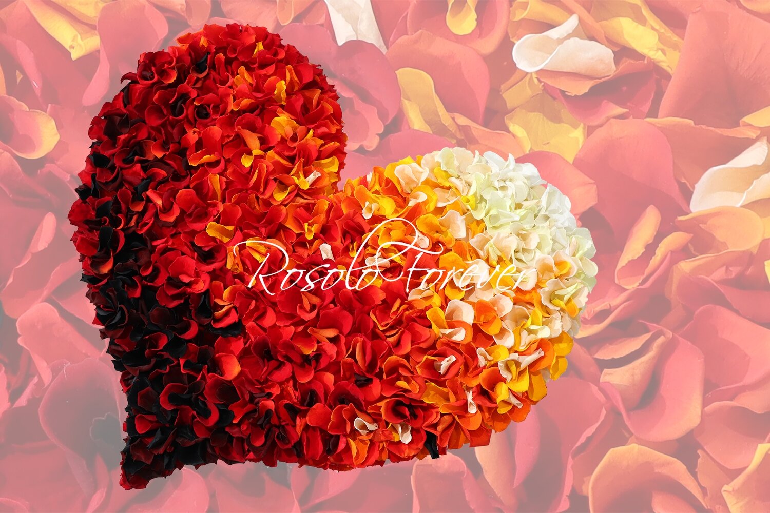 Grand cœur composé de milliers de pétales de roses