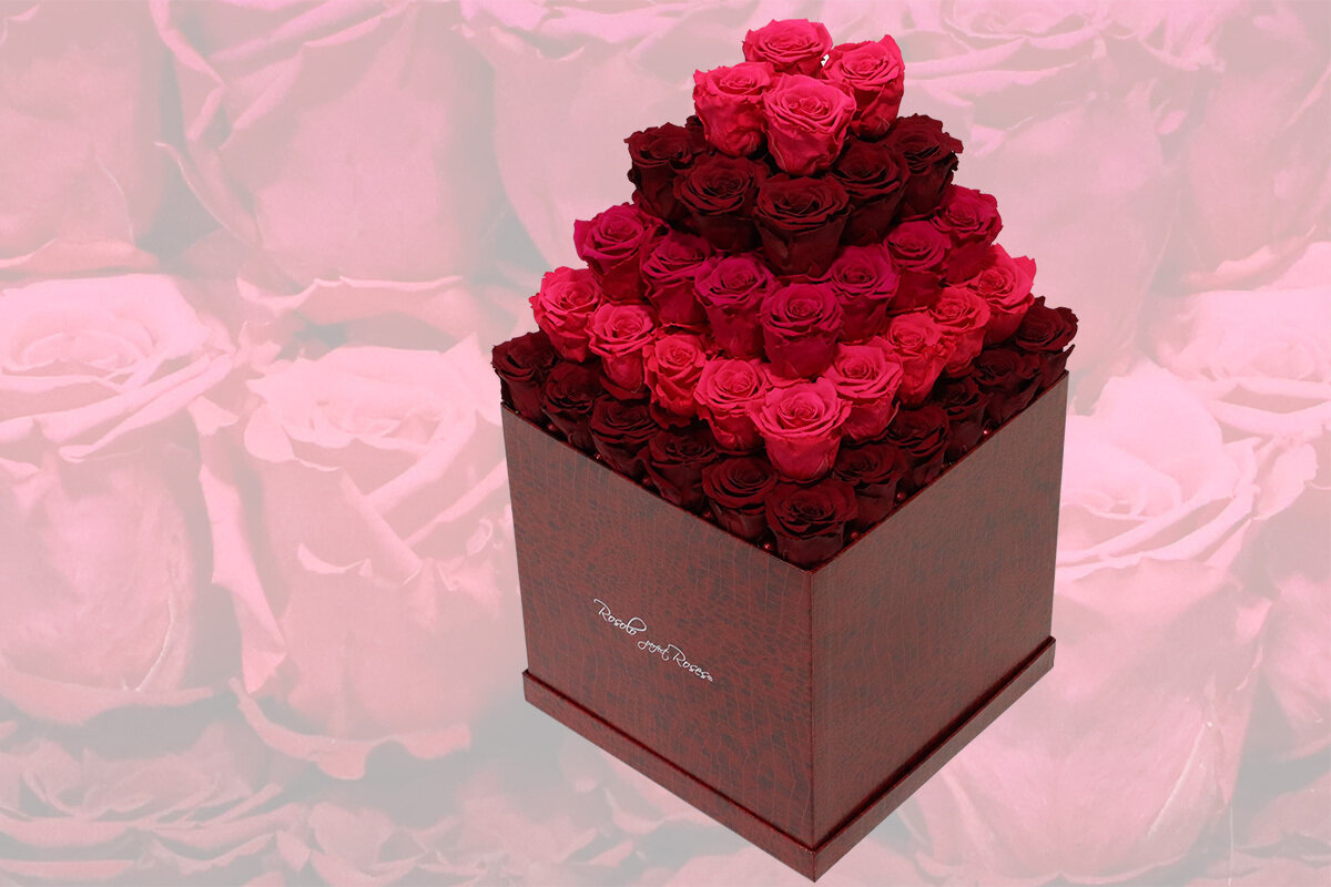 Grande boîte cubique, 74 roses éternelles rose en fuchsia et rouge. Autre tailles disponibles