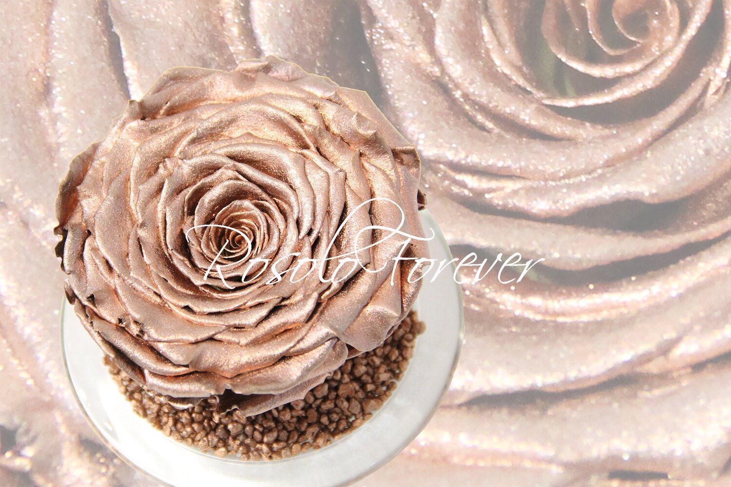 Grande rose éternelle, cuivre, métallisée