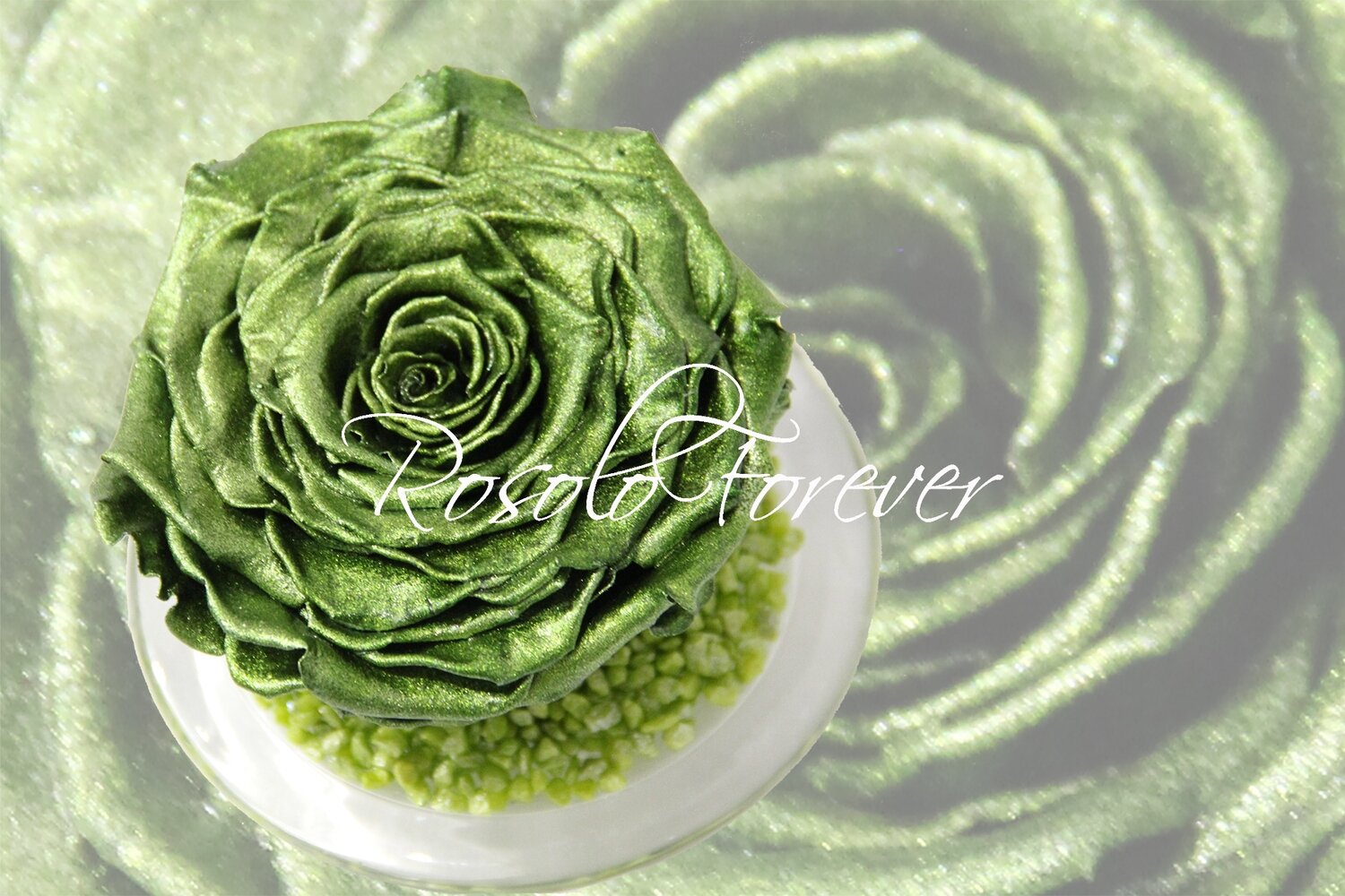 Grande rose éternelle, verte, métallisée