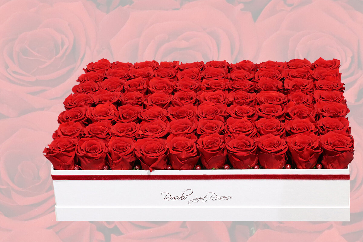 Maxi boîte rectangulaire 70 roses éternelles en rouge