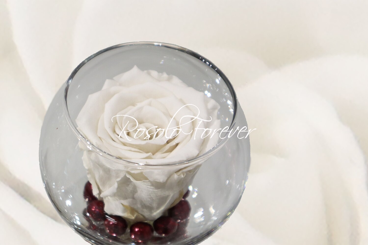 Rose éternelle, blanche, dans un vase boule