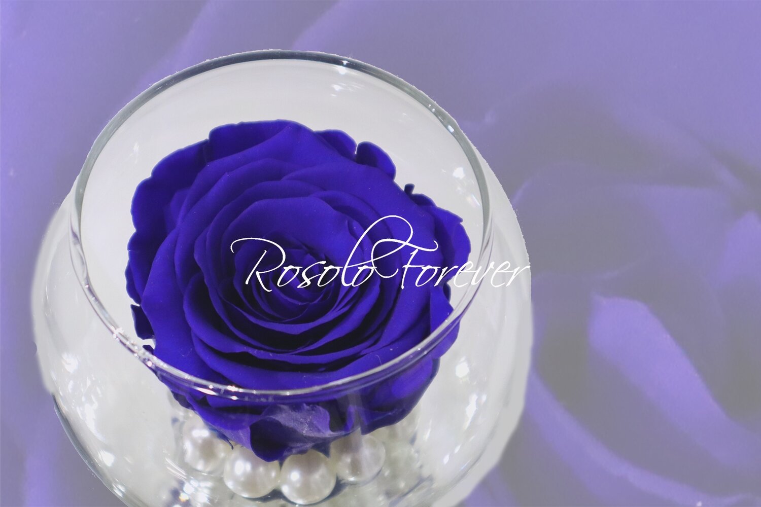 Rose éternelle, bleue, dans un vase boule