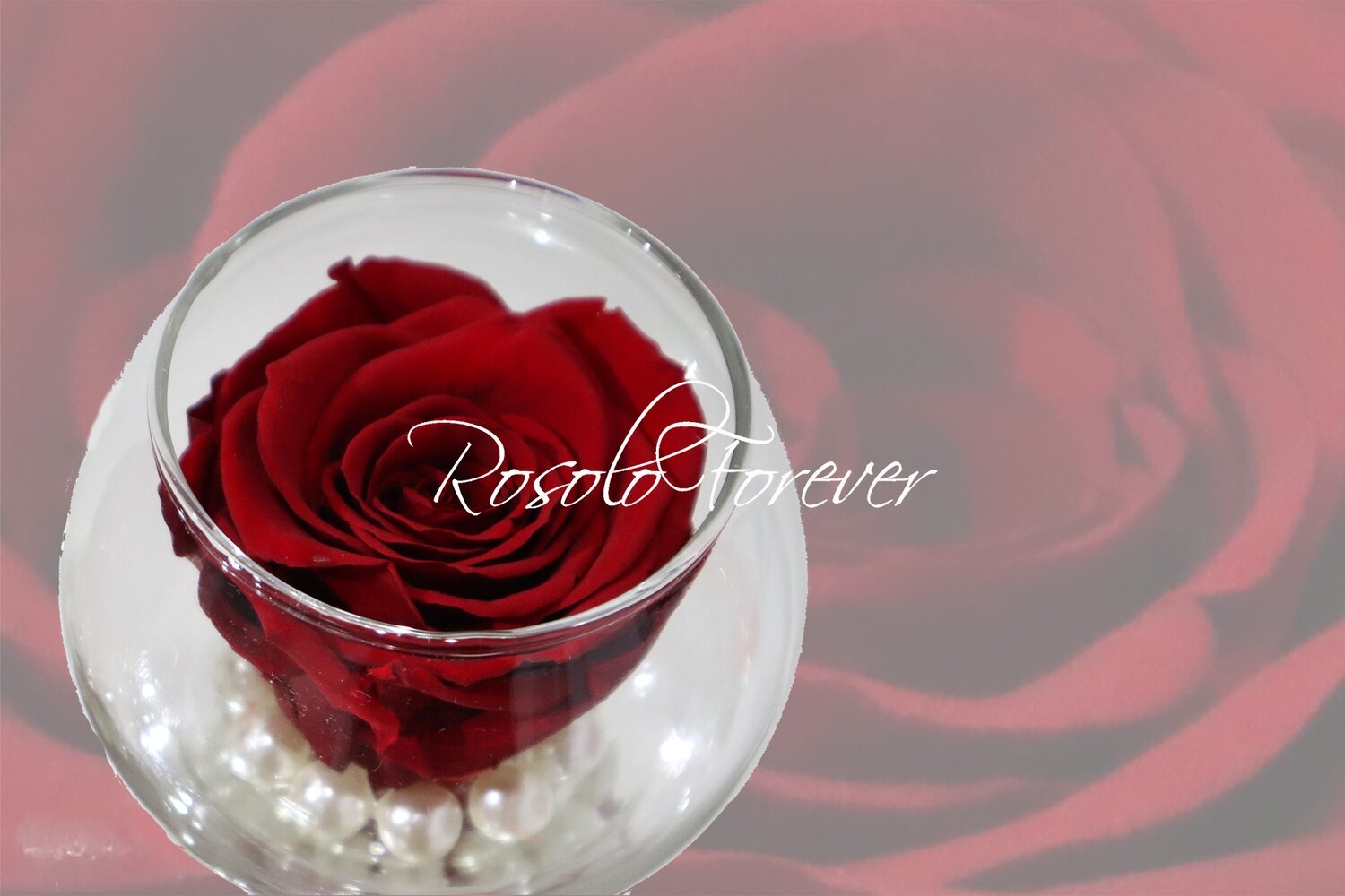 Rose éternelle, chocolat, dans un vase boule