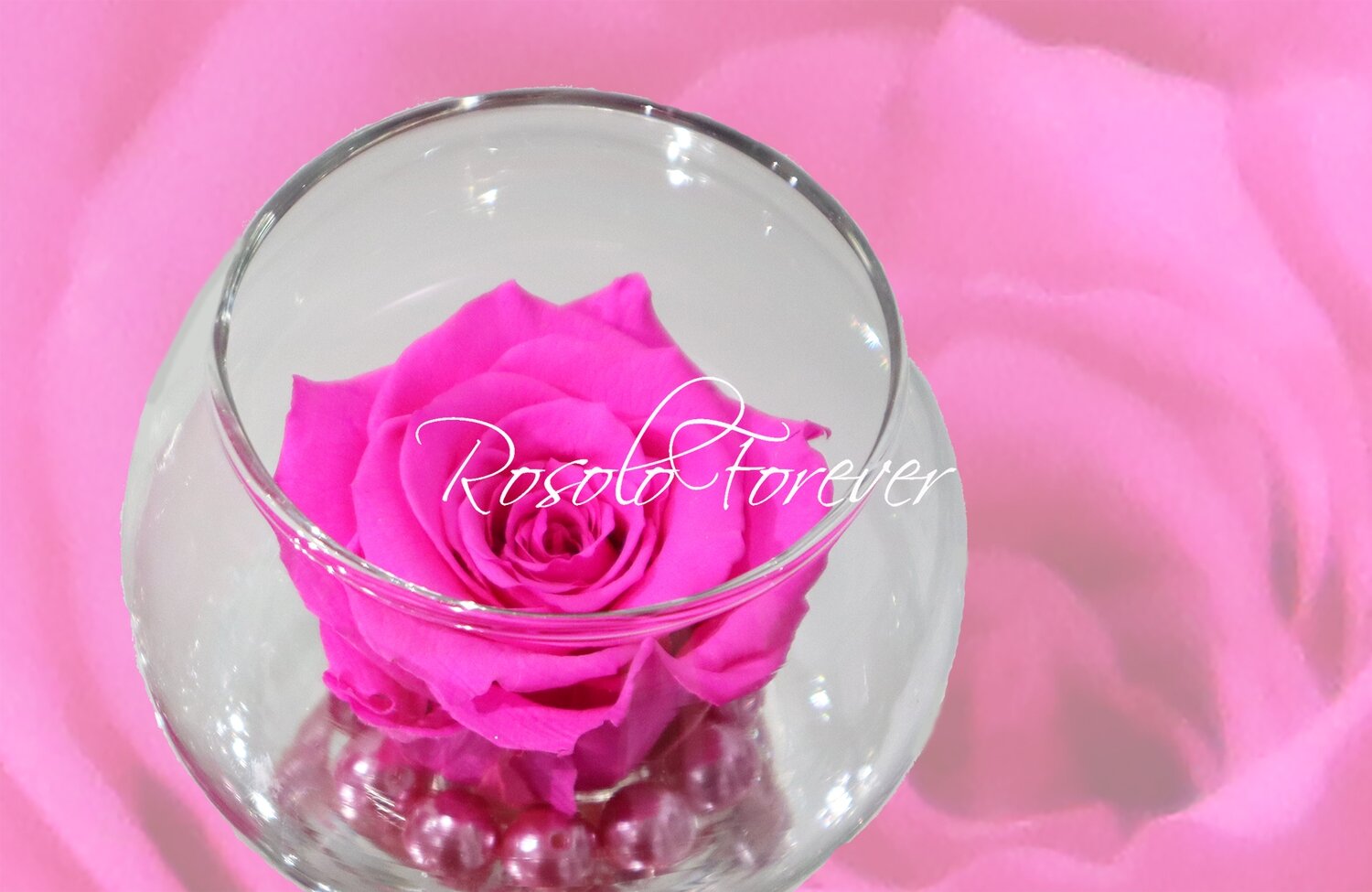 Rose éternelle, fuchsia, dans un vase boule