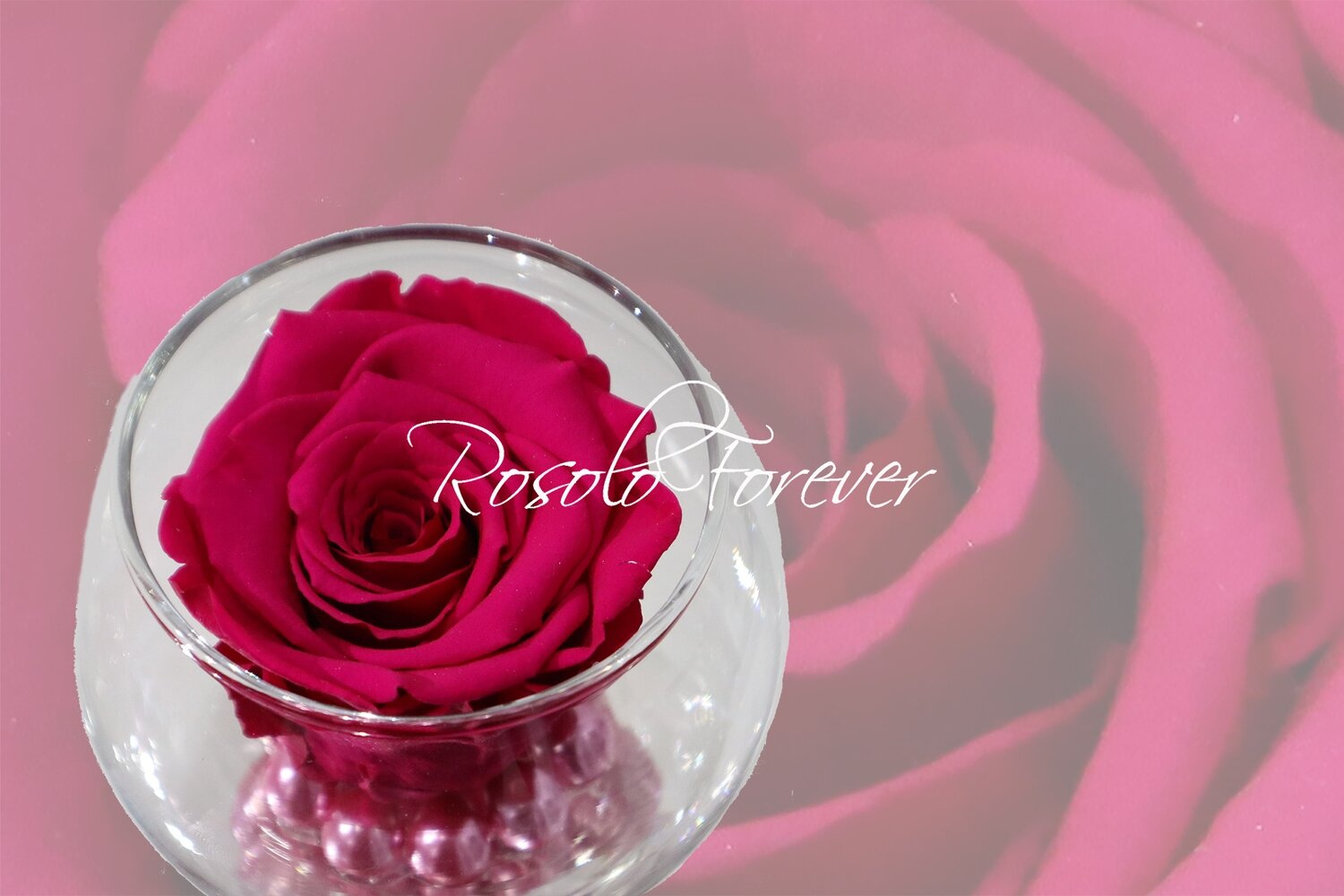 Rose éternelle, lila, dans un vase boule