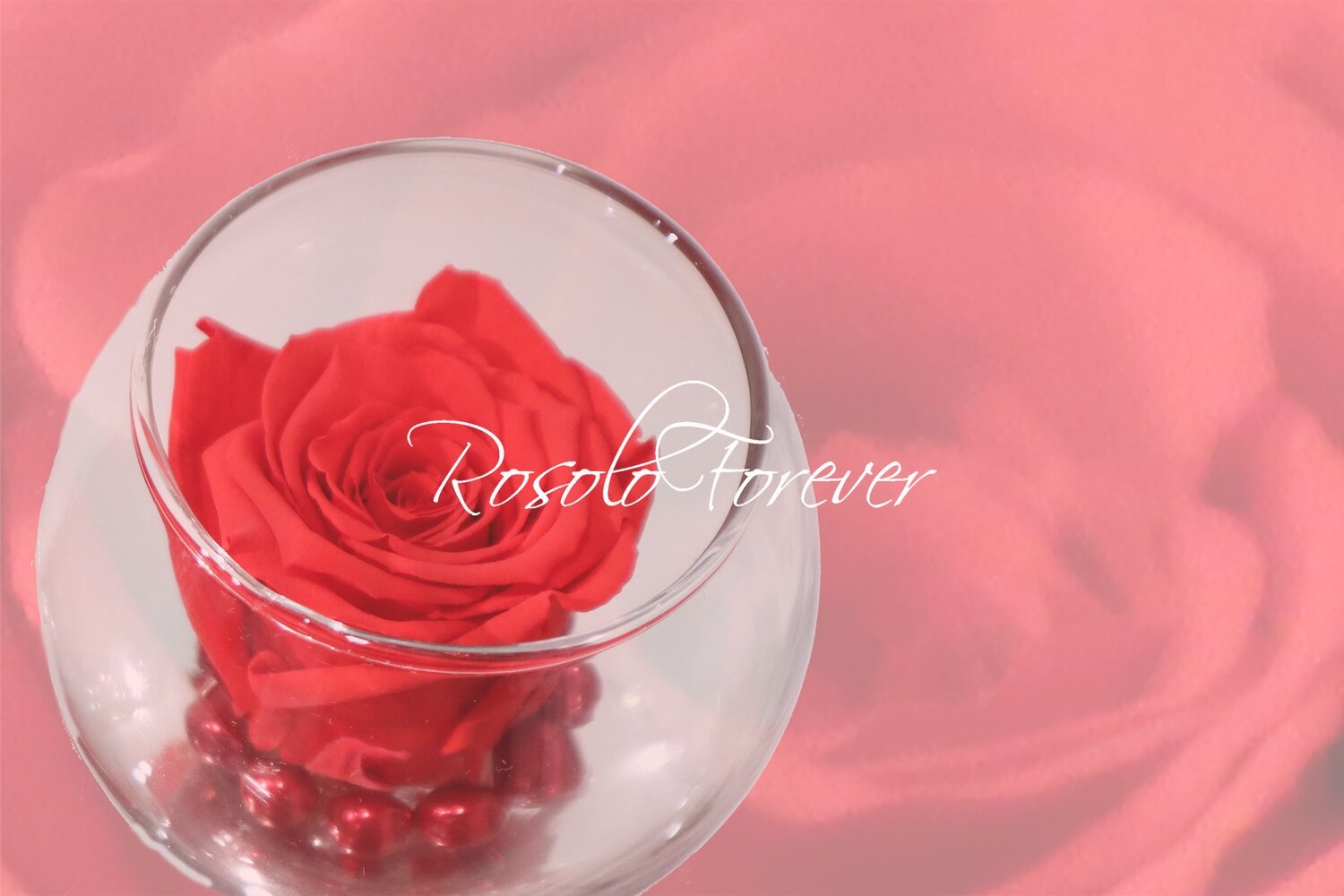 Rose éternelle, orange, dans un vase boule