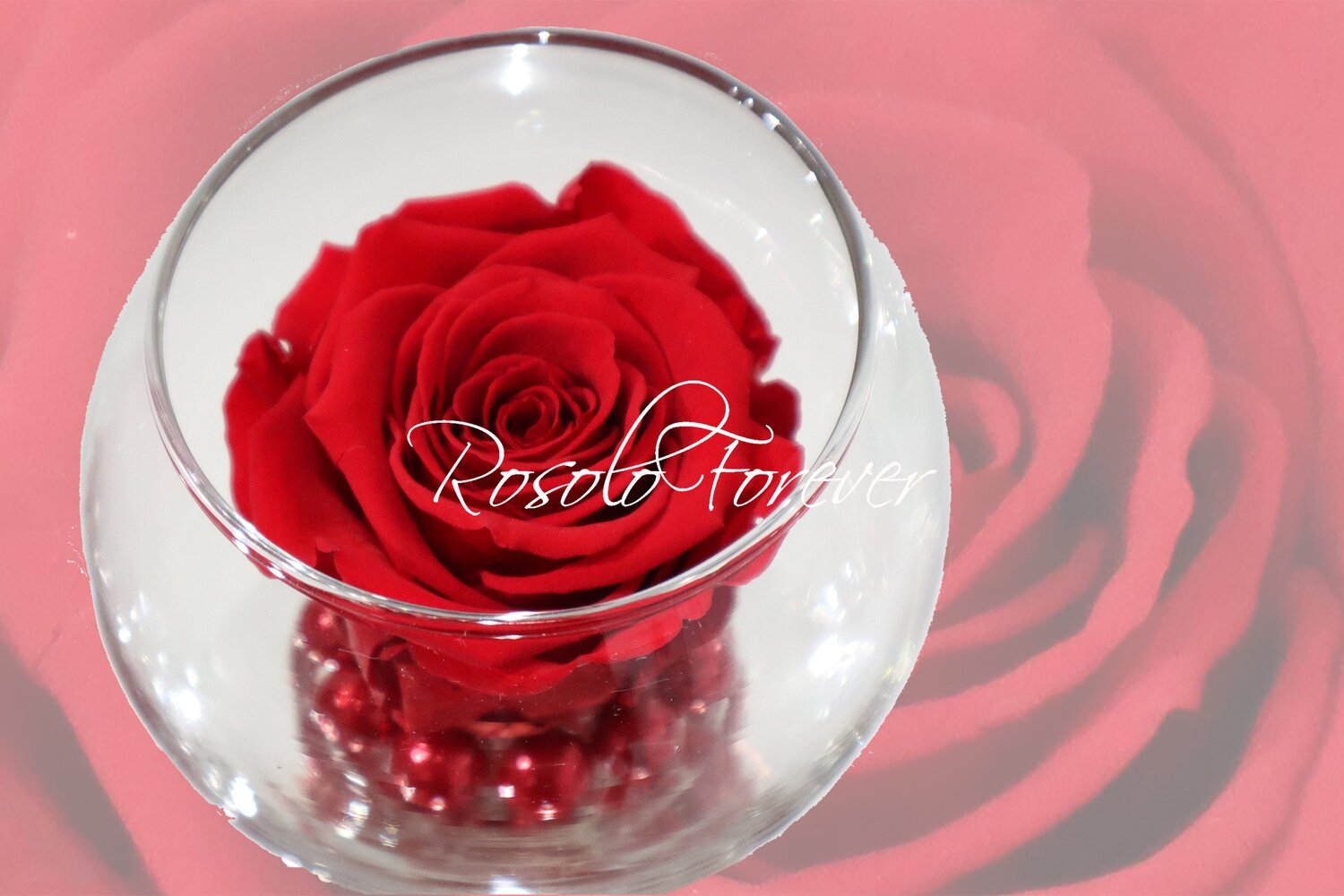 Rose éternelle, rouge, dans un vase boule