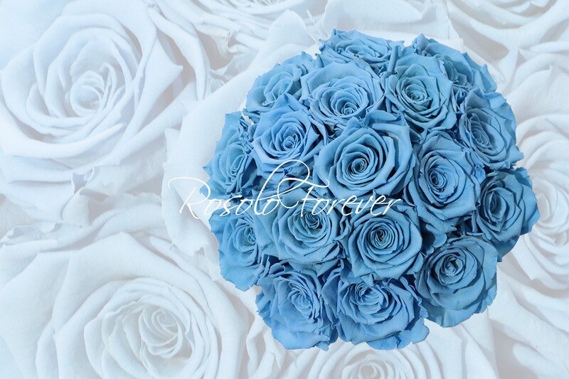 Bouquet de roses éternelles, bleu claire