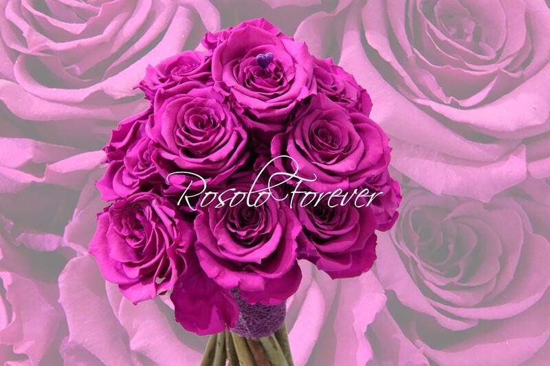 Bouquet de roses éternelles, lila