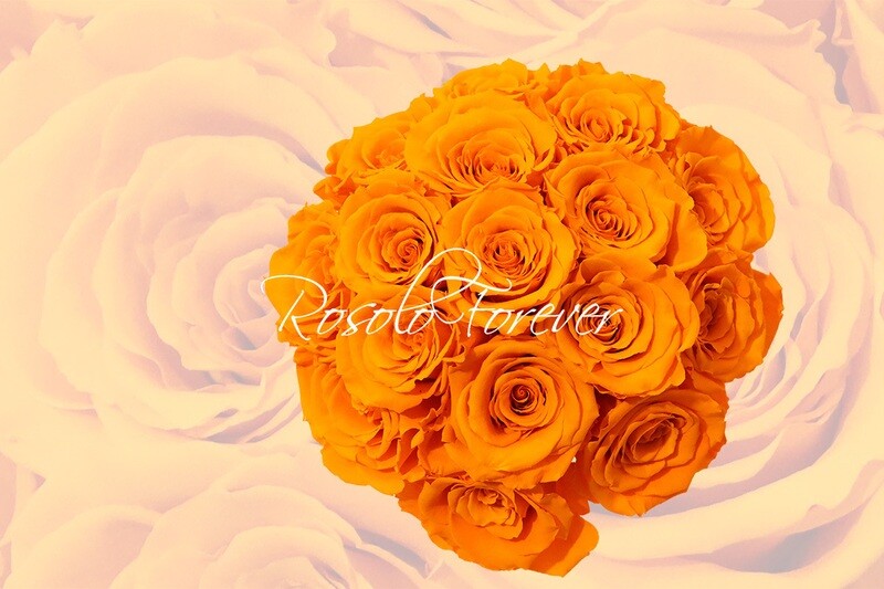 Bouquet de roses éternelles, orange