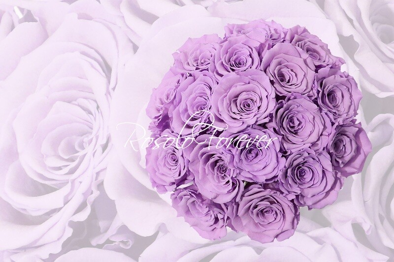 Bouquet de roses éternelles, lila