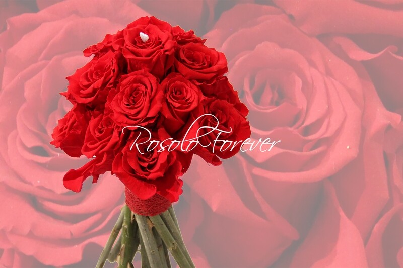 Bouquet de roses éternelles, rouge