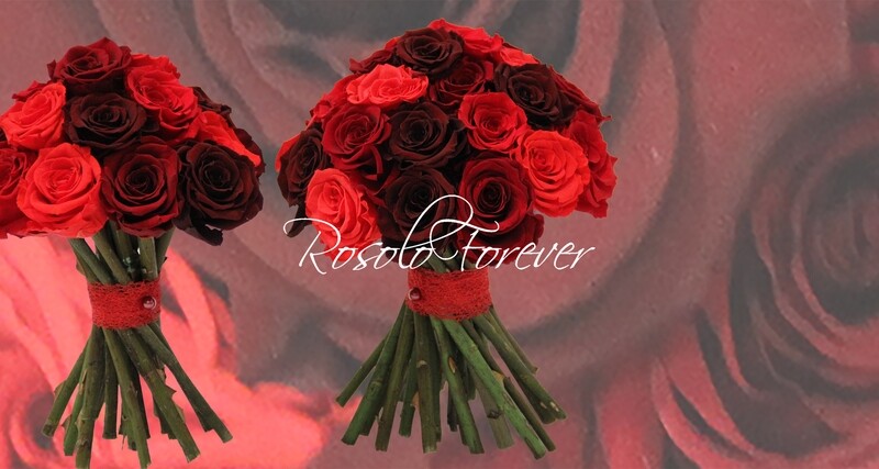 Bouquet de roses éternelles, rouge/bordeaux